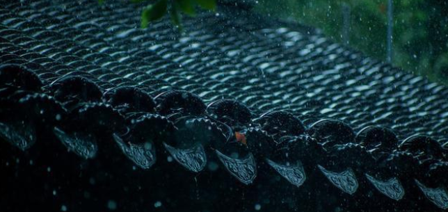 1651755997197773.png 手機相機拍攝